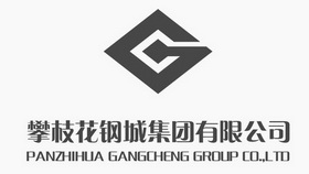 攀枝花钢城集团有限公司;PANZHIHUA GANGCHENG GROUP COLTD