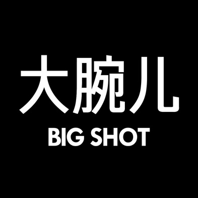 大腕儿;BIG SHOT