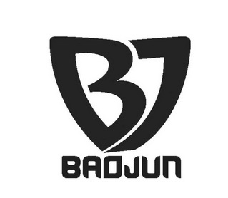 BAOJUN;BAOJUN