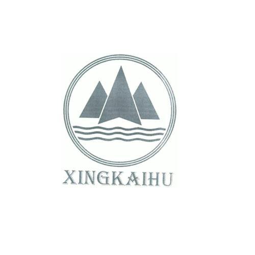 XINGKAIHU;XINGKAIHU