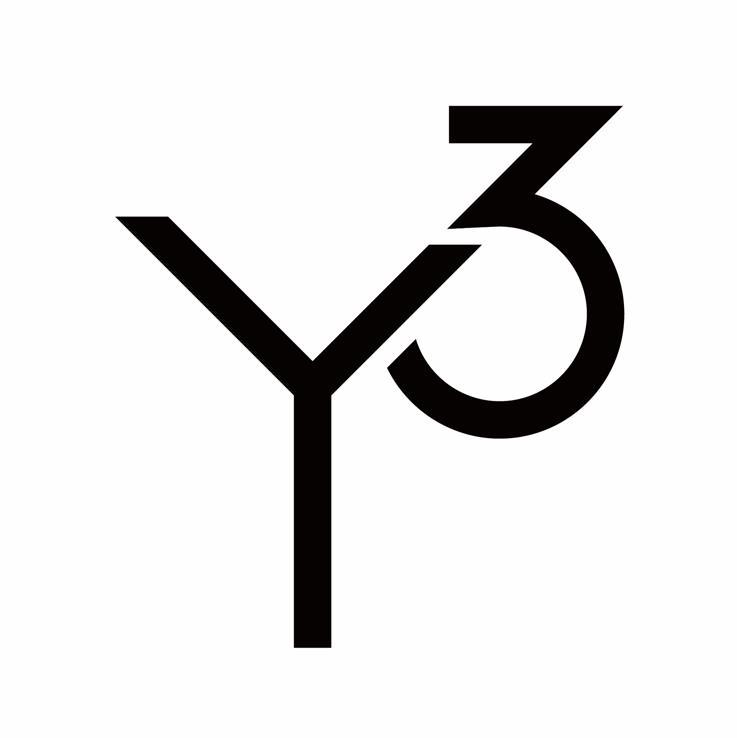 Y 3