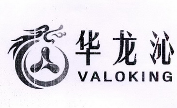 华龙沁;VALOKING