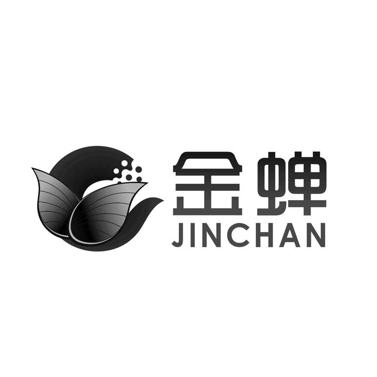 金蝉;JINCHAN