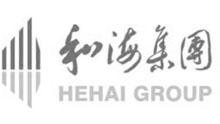 和海集团;HEHAI GROUP