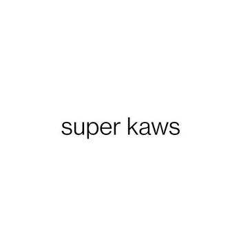 ;SUPER KAWS