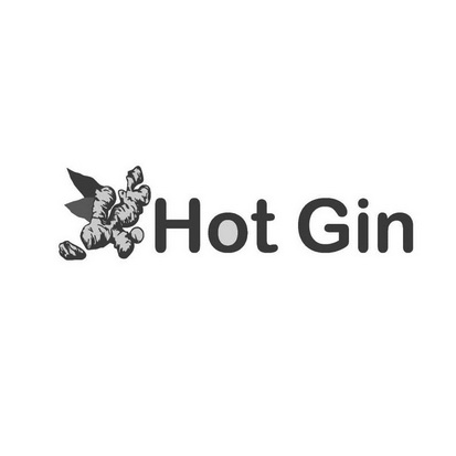 HOT GIN