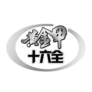 黄金甲十六全