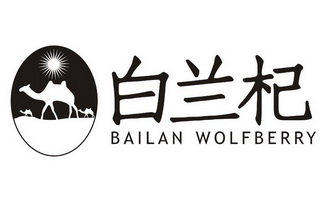 白兰杞;BAILAN WOLFBERRY