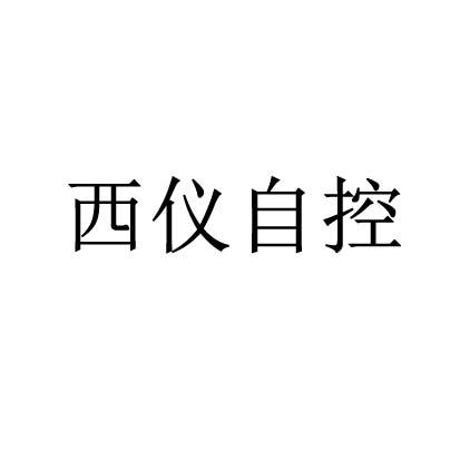 西仪自控