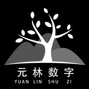 元林数字