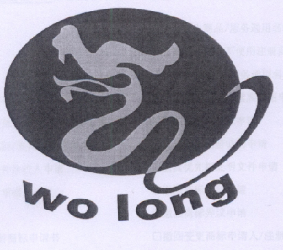 WO LONG;WO LONG