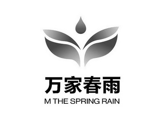 万家春雨 M THE SPRING RAIN;M THE SPRING RAIN