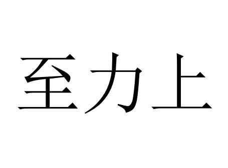 至力上