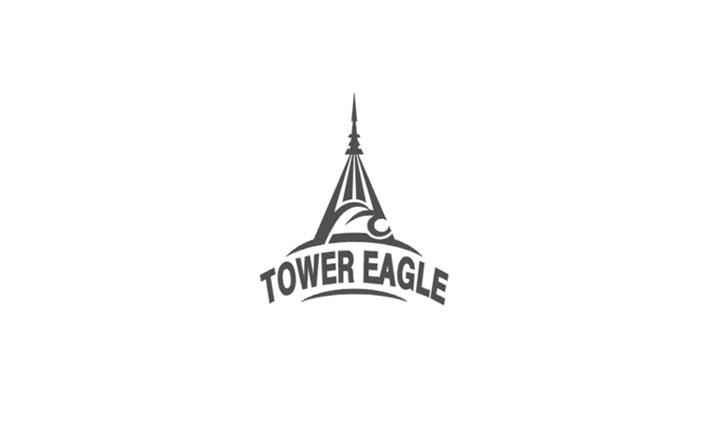 TOWER EAGLE;TOWEREAGLE