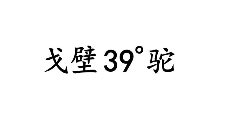 戈壁驼;39