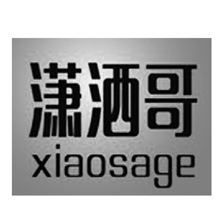 潇洒哥;XIAOSAGE