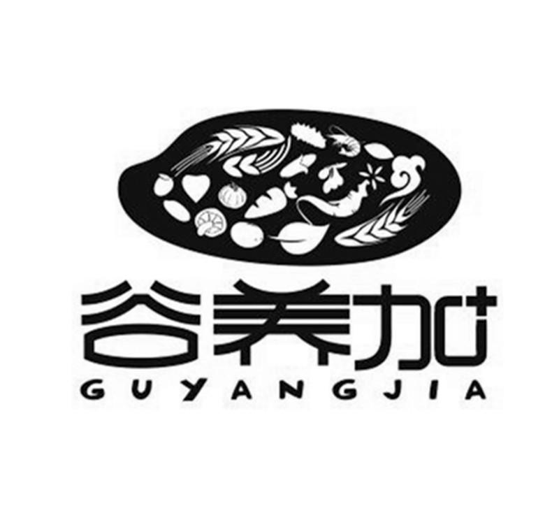 谷养加;GUYANGJIA