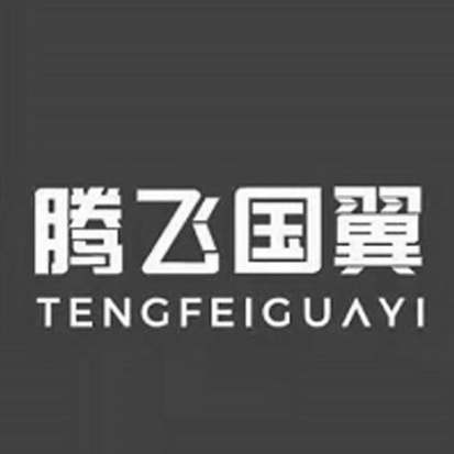 腾飞国翼;TENGFEIGUAYI