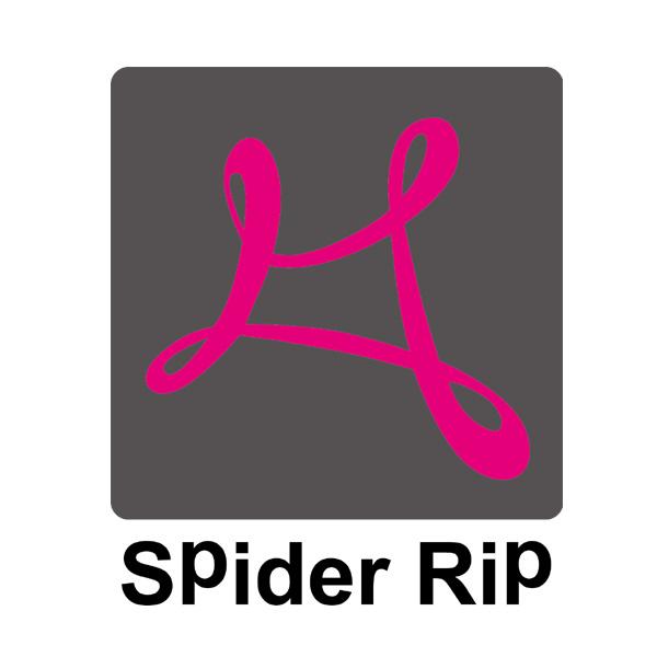 SPIDER RIP;SPIDER RIP