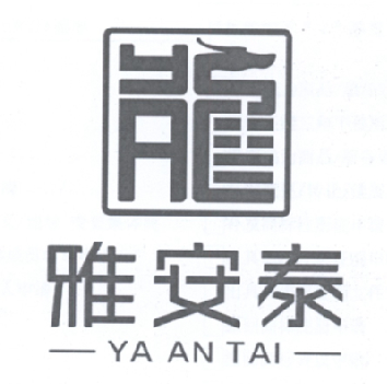 雅安泰 龙;YA