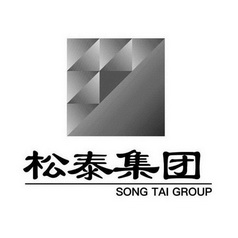 松泰集团;SONG TAI GROUP