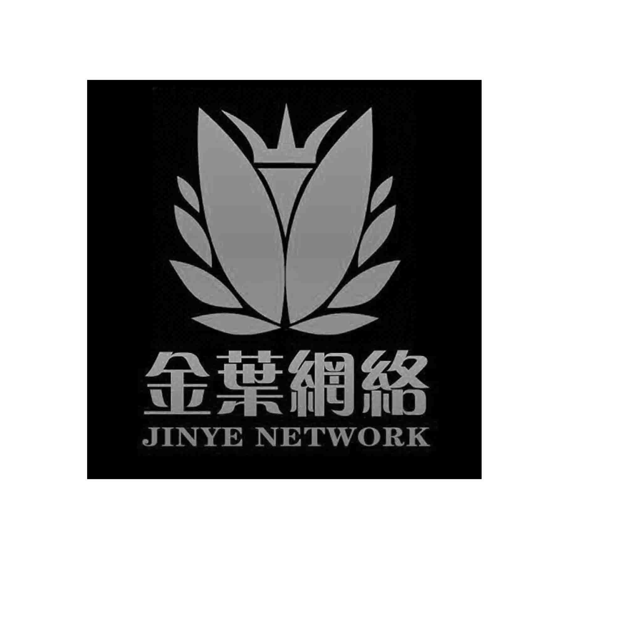 金叶网络 JINYE NETWORK;JINYE NETWORK