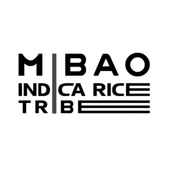 MIBAO INDICA RICE TRIBE