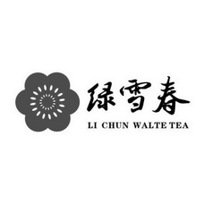 绿雪春 LI CHUN WALTE TEA;LI CHUN WALTE TEA