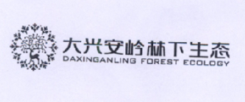 大兴安岭林下生态 DAXINGANLING FOREST ECOLOGY;DAXINGANLING FOREST ECOLOGY