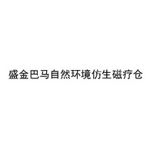 盛金巴马自然环境仿生磁疗仓