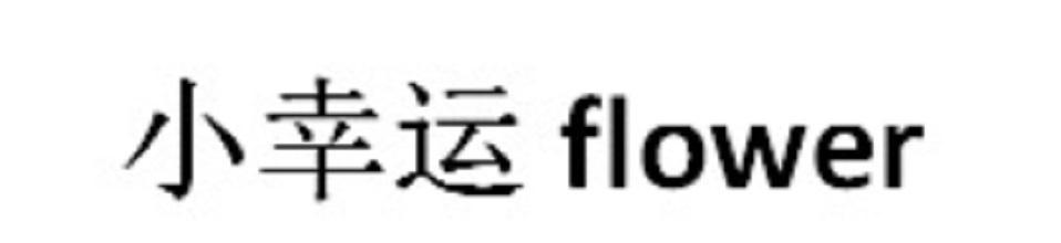 小幸运;FLOWER