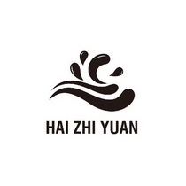 HAI ZHI YUAN;HAI ZHI YUAN