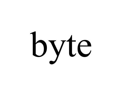 BYTE