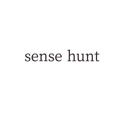 SENSE HUNT