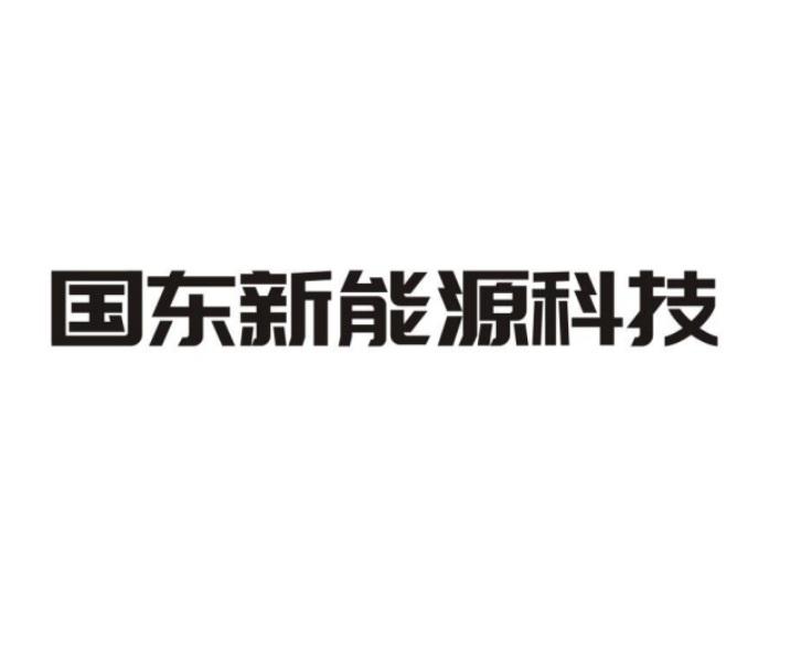 国东新能源科技