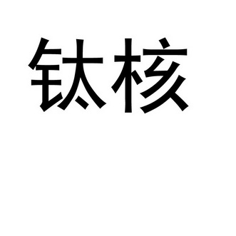 钛核