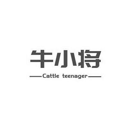 牛小将 CATTLE TEENAGER;CATTLE TEENAGER