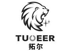 拓尔;TUOEER