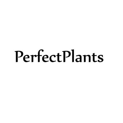 ;PERFECTPLANTS