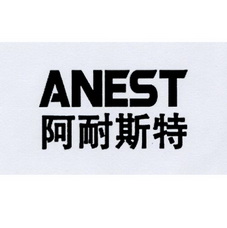 阿耐斯特  ANEST;ANEST