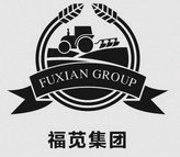 福苋集团;FUXIAN GROUP