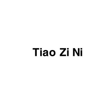 TIAO ZI NI