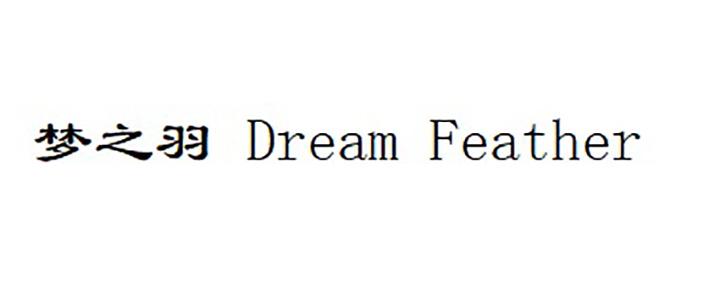 梦之羽 DREAM FEATHER;DREAM FEATHER