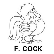 F.COCK;FCOCK