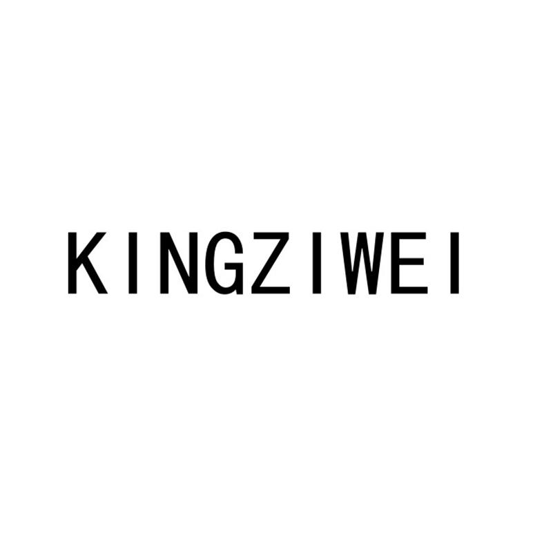 KINGZIWEI;KINGZIWEI