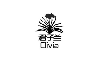 君子兰 CLIVIA;CLIVIA