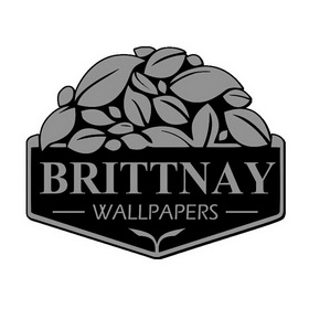 BRITTNAY WALLPAPERS;BRITTNAYWALLPAPERS