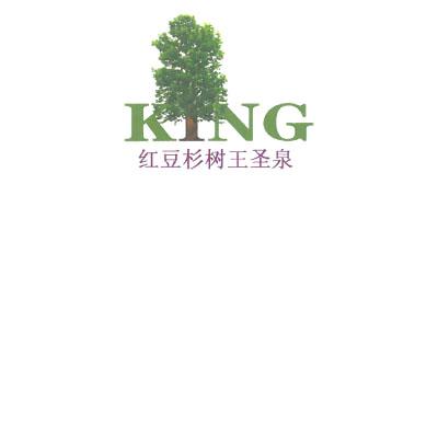 红豆杉树王圣泉 KNG;KNG