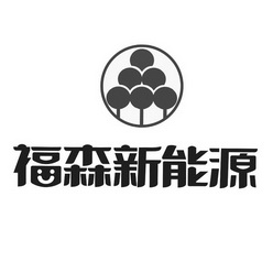 福森新能源