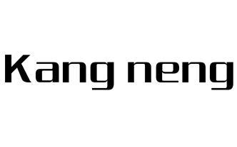 KANG NENG;KANG NENG